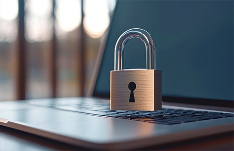 Data Security Image